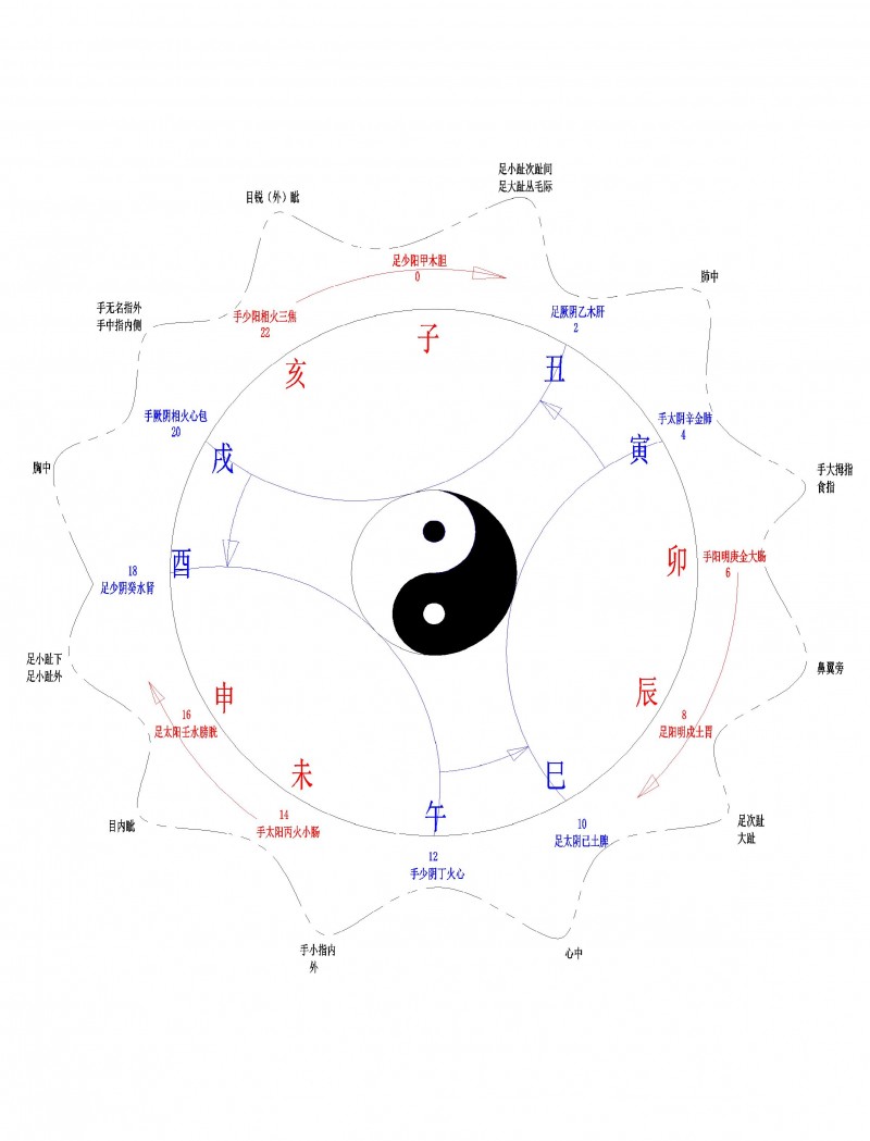 12經(jīng)脈運行邏輯圖-模型